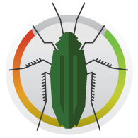 icon-bug-footer